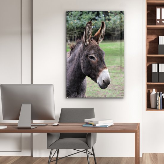 MuchoWow® Peinture sur Verre - Âne Brun - 80x120 cm - Peintures sur Verre Acrylique - Photo sur Glas
