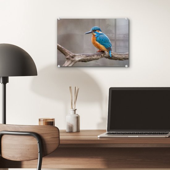 ® Glasschilderij 30x20 cm - Schilderij acrylglas - IJsvogel - Takken - Portret - Foto op glas - Muurdecoratie woonkamer - Wanddecoratie slaapkamer - Schilderijen