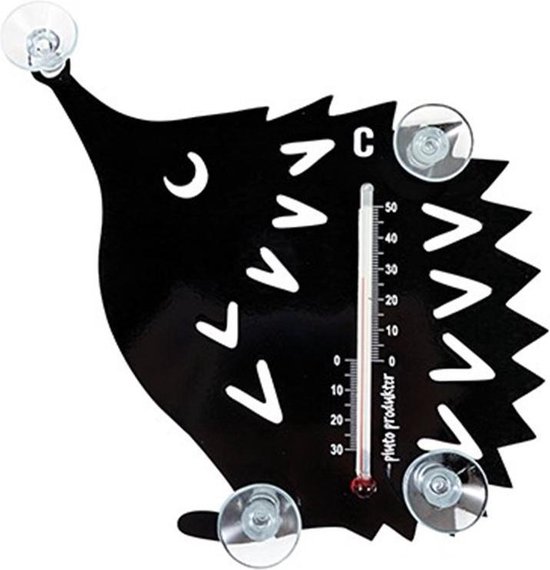 inhoudsopgave beschermen Zorg Pluto raam thermometer egel Zwart | bol.com