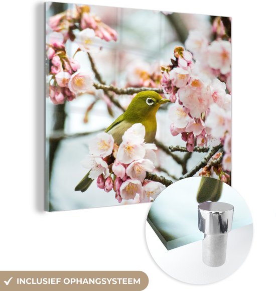 Glasschilderij - Vogel - Kersenbloesem - Roze - Groen - Acrylaat Schilderijen - Foto op Glas