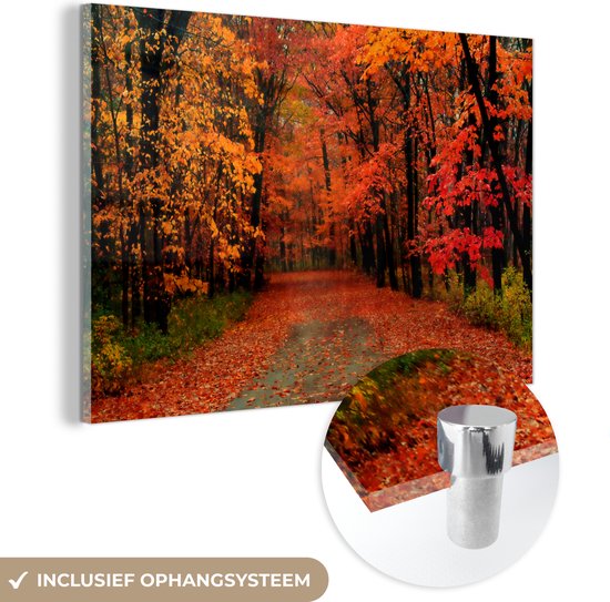 Peinture sur verre - Automne - Forêt - Feuilles - 180x120 cm - Peintures Plexiglas