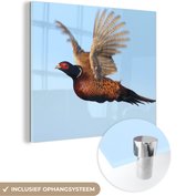 MuchoWow® Glasschilderij 20x20 cm - Schilderij acrylglas - Fazant - Vleugels - Vogel - Foto op glas - Schilderijen