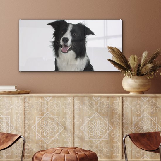 MuchoWow® Tableau sur Verre - Photo Portrait d'un Bon Border Collie Assis - 80x40 cm - Peintures sur Verre Acrylique - Photo sur Glas