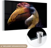 MuchoWow® Glasschilderij 160x80 cm - Schilderij acrylglas - Vogel - Snavel - Zwart - Foto op glas - Schilderijen