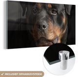 MuchoWow® Glasschilderij 120x60 cm - Schilderij acrylglas - Portret van Rottweiler hond in de studio - Foto op glas - Schilderijen