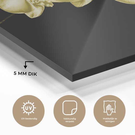 MuchoWow® Peinture sur verre 120x90 cm - Peinture sur verre acrylique - Les orchidées colorées sur fond noir - Photo sur verre - Peintures