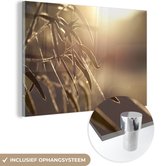 MuchoWow® Glasschilderij 120x80 cm - Schilderij acrylglas - Eucalyptusbladeren in de ochtendgloren - Foto op glas - Schilderijen
