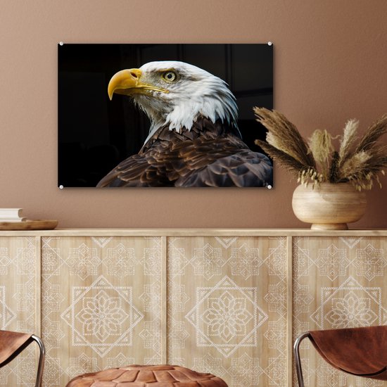 MuchoWow® Peinture sur verre 60x40 cm - Peinture sur verre acrylique - Aigle - Vogel - Yeux - Bec - Photo sur verre - Peintures