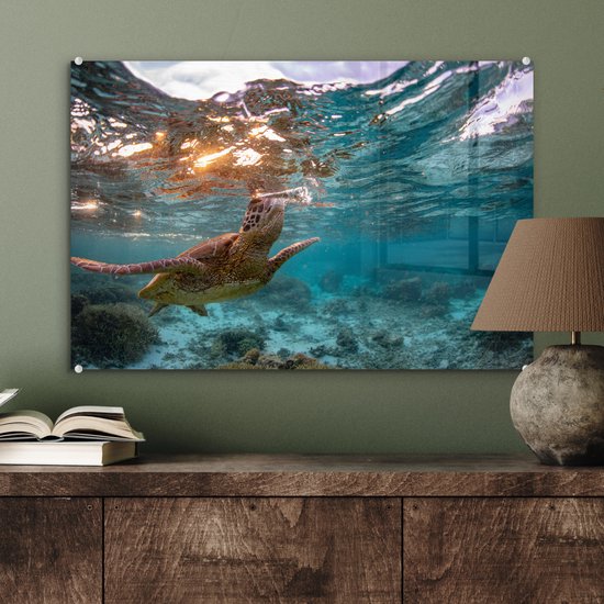 MuchoWow® Peinture sur verre 60x40 cm - Peinture sur verre acrylique - Mer - Tortue - Couleurs - Photo sur verre - Peintures