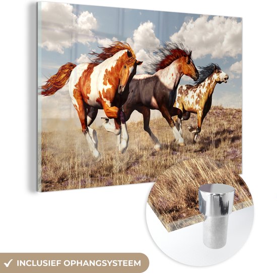 MuchoWow® Glasschilderij - Paarden - Dieren - Gras - Vacht - Acrylglas Schilderijen - Foto op Glas
