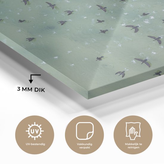 MuchoWow® Peinture sur verre 40x30 cm - Peinture sur verre acrylique - Vue de dessus des oiseaux au-dessus de la mer - Photo sur verre - Peintures