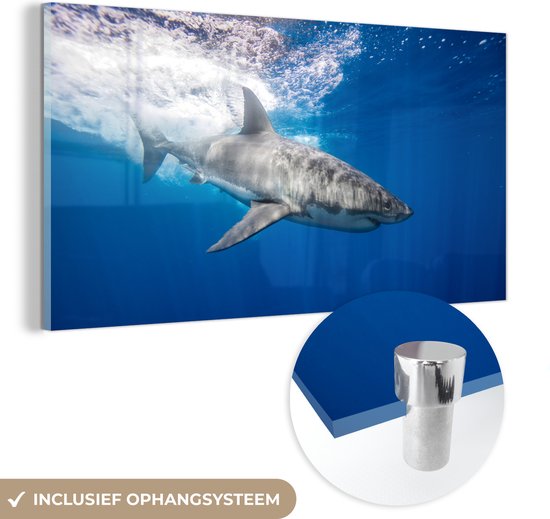 Peinture sur Verre - Requin - Mer - Water - 160x80 cm - Peintures sur Verre Peintures - Photo sur Glas