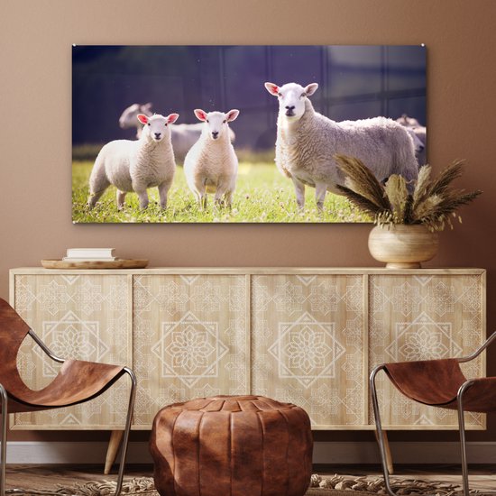 MuchoWow® Peinture sur verre 120x60 cm - Peinture sur verre - Mouton - Agneau - Fleurs - Photo sur verre acrylique - Peintures