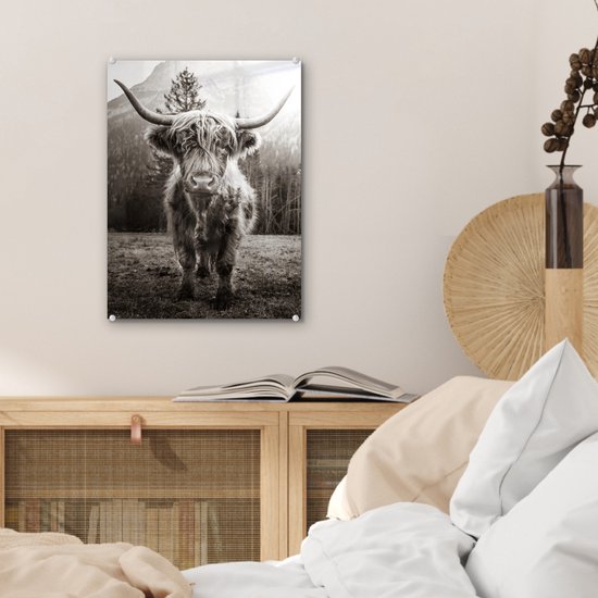 MuchoWow® Peinture sur verre 30x40 cm - Peinture acrylique sur verre - Highlander écossais - Zwart - Wit - Animaux - Photo sur verre - Peintures