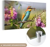 MuchoWow® Glasschilderij 40x20 cm - Schilderij acrylglas - Vogel - Bijeneter - Bloemen - Foto op glas - Schilderijen