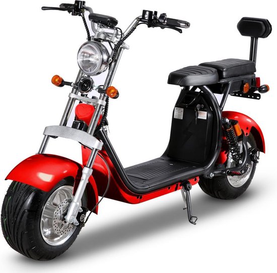 E-scooter FatBoy CityCoco Egreen 1500W BLUETOOTH COULEUR BLACK SKULL | bol