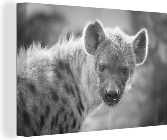 Canvas Schilderij Hyena met water uit zijn mond in zwart-wit - 90x60 cm - Wanddecoratie