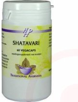 Holisan Shativari  - 60 Capsules - Voedingssupplementen