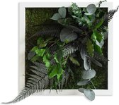 Stylegreen Verticale tuin - Jungle Design 22 x 22cm