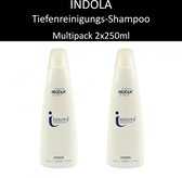 Indola Innova Specialists purifying shampoo 2x250ml Haarverzorging diepe reiniging