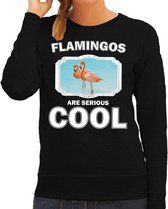 Dieren flamingo vogels sweater zwart dames - flamingos are serious cool trui - cadeau sweater flamingo/ flamingo vogels liefhebber 2XL