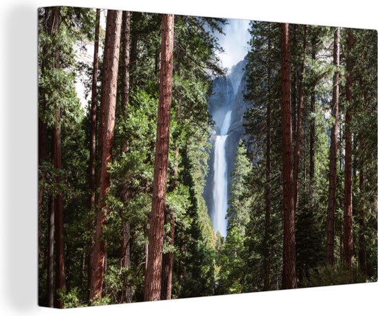 Canvas Schilderij Een waterval tussen de bomen door in het Nationaal park Yosemite i - 60x40 cm - Wanddecoratie