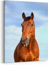 Schilderij - 6 years old bay horse sticking his tongue — 60x90 cm