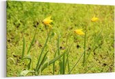 Schilderij - Gele Tulpen — 100x70 cm