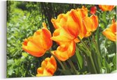 Schilderij - Oranje Tulpen — 90x60 cm