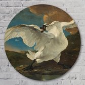 Muurcirkel ⌀ 60 cm - De bedreigde zwaan, Jan Asselijn, ca. 1650 - Aluminium Dibond - Dieren - Rond Schilderij - Wandcirkel - Wanddecoratie