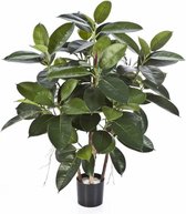 Ficus Lyrata in Rugged Patt wit | Vioolbladplant / Tabaksplant
