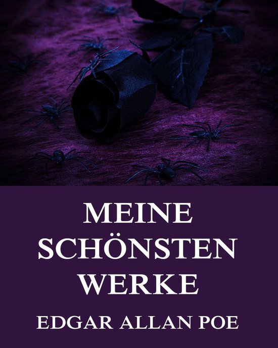 Meine schönsten Werke (ebook), Edgar Allan Poe 9783849615895 Boeken bol