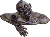 "Decoratie zombiebuste Halloween - Feestdecoratievoorwerp - One size"