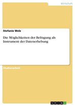 Die M�Glichkeiten Der Befragung Als Instrument Der Datenerhebung