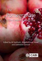 Botany, Production and Uses - Pomegranate, The