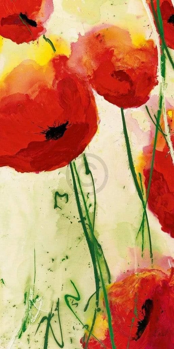 PGM Kunstdruk Heidi Reil - Klatschmohn 50x100cm Divers