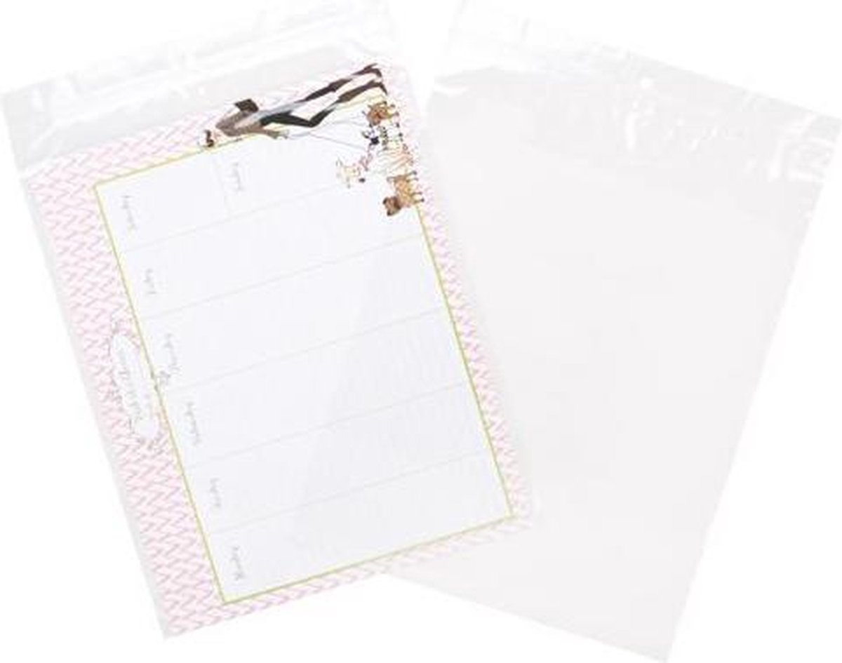 Gripzakken met Ophanggat en Luchtgat 22,9x30,5cm Kristalhelder (100 stuks) | gripzak | ziplock zakken | ziplock zakjes