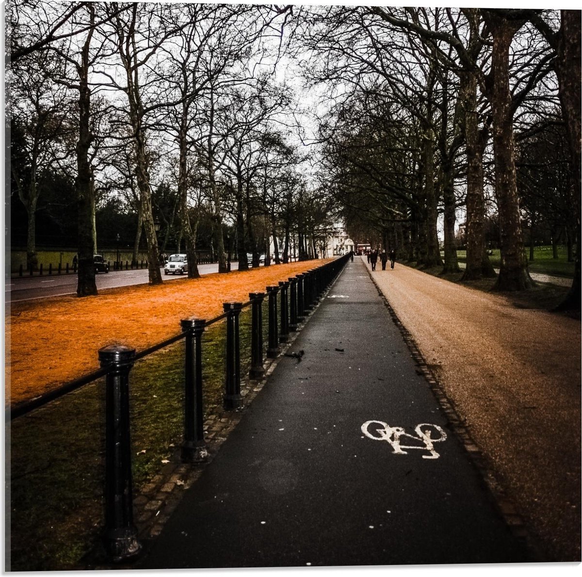 Plexiglas - Fiets en Wandelpad - 50x50cm Foto op Plexiglas (Met Ophangsysteem)