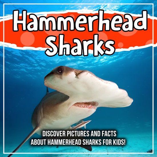 Hammerhead Sharks Discover Pictures and Facts About Hammerhead Sharks