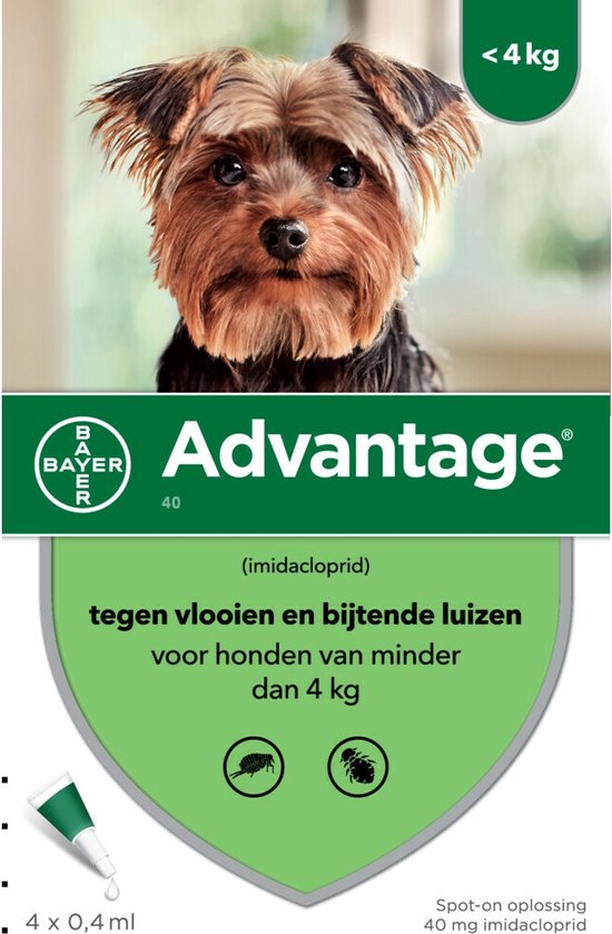 Advantage Anti Vlooiendruppels Hond 1,5 - 4 kg 4 pipetten