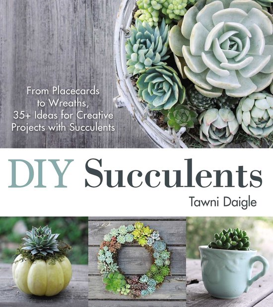 DIY Succulents - cover