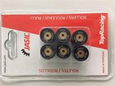 Rollenset 16X13 Honda/Kymco/ Peug/Piagg/PGO 8.5gr.