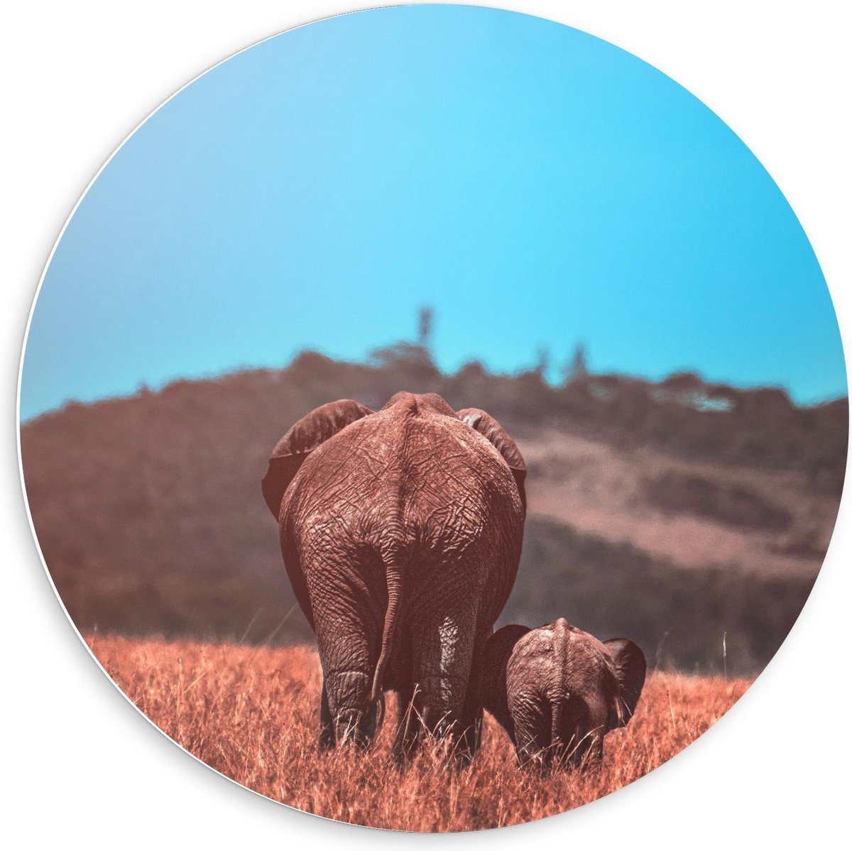 KuijsFotoprint - Schilderij - Moeder Baby Olifant In Het Gras - Blauw En Bruin - 60 X 60 Cm