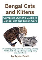Bengal Cats and Kittens