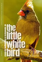 Een vrouwelijke kardinaal met bruine veren en een oranje snavel zit op een tak. Tekst: 'the little white bird'.