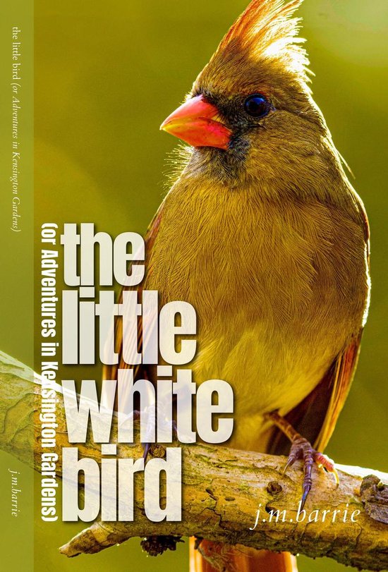 Een vrouwelijke kardinaal met bruine veren en een oranje snavel zit op een tak. Tekst: 'the little white bird'.