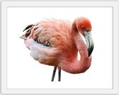 Foto in frame Roze flamingo, 3 maten, Premium print