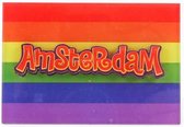 Magneet 2D MDF Regenboog Vlag Amsterdam - Souvenir