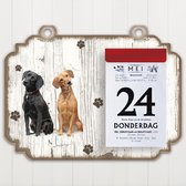 Scheurkalender 2023 Hond: Labrador