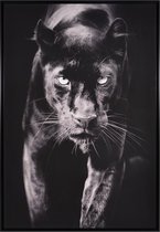 Canvas schilderij Black panther